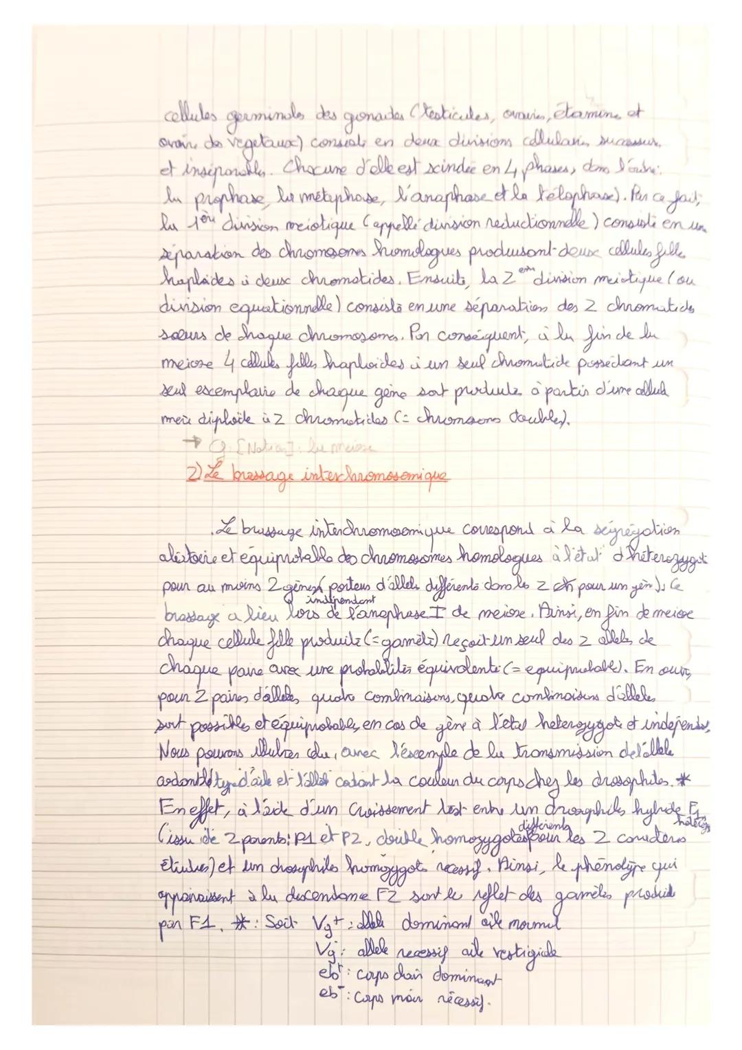 Thom 1 A
Genetique et évolution

L'origine du génotype des indindus

Chapitre 2: Le brassage des génormes à chaque generations:
La reproduct