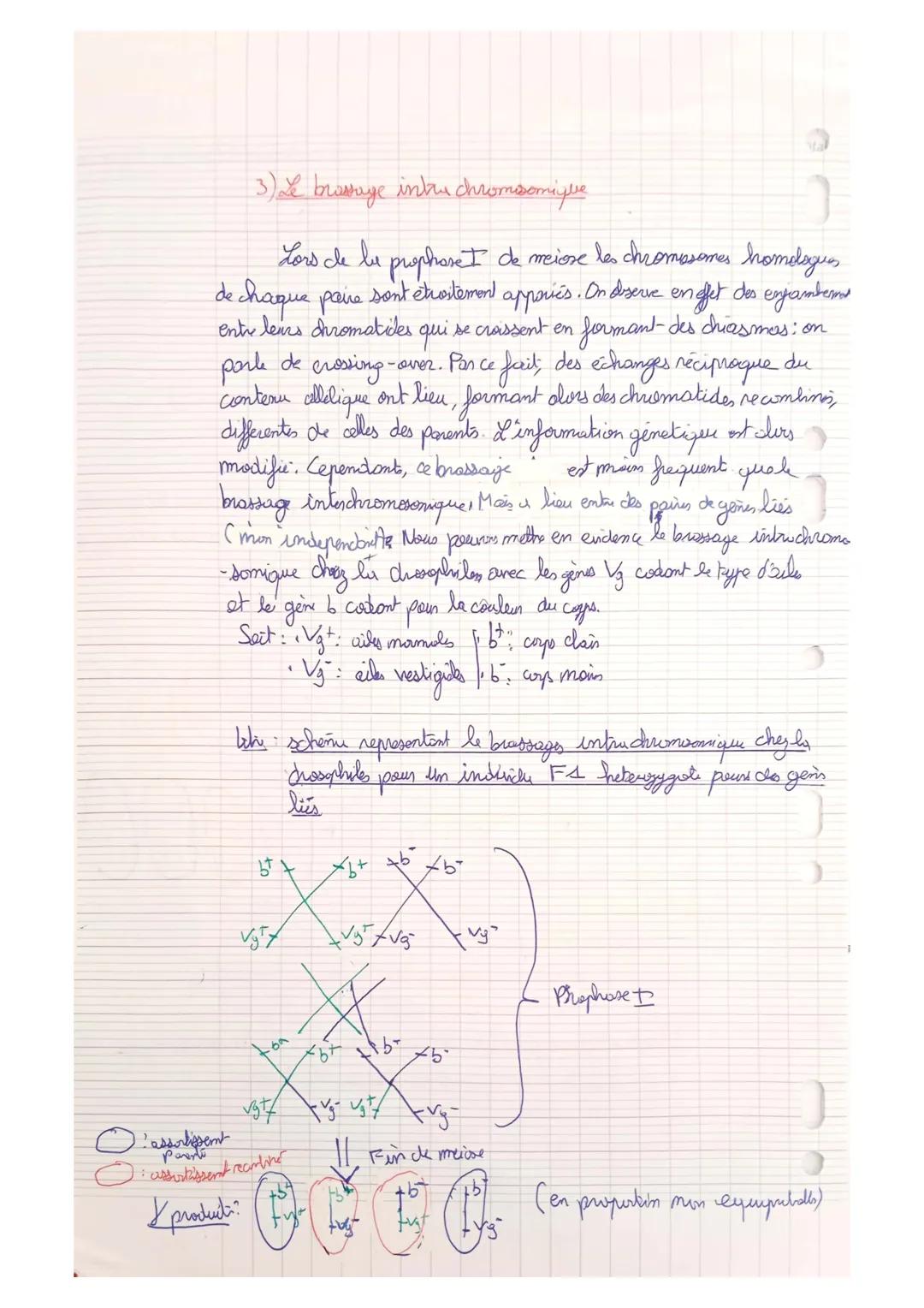 Thom 1 A
Genetique et évolution

L'origine du génotype des indindus

Chapitre 2: Le brassage des génormes à chaque generations:
La reproduct