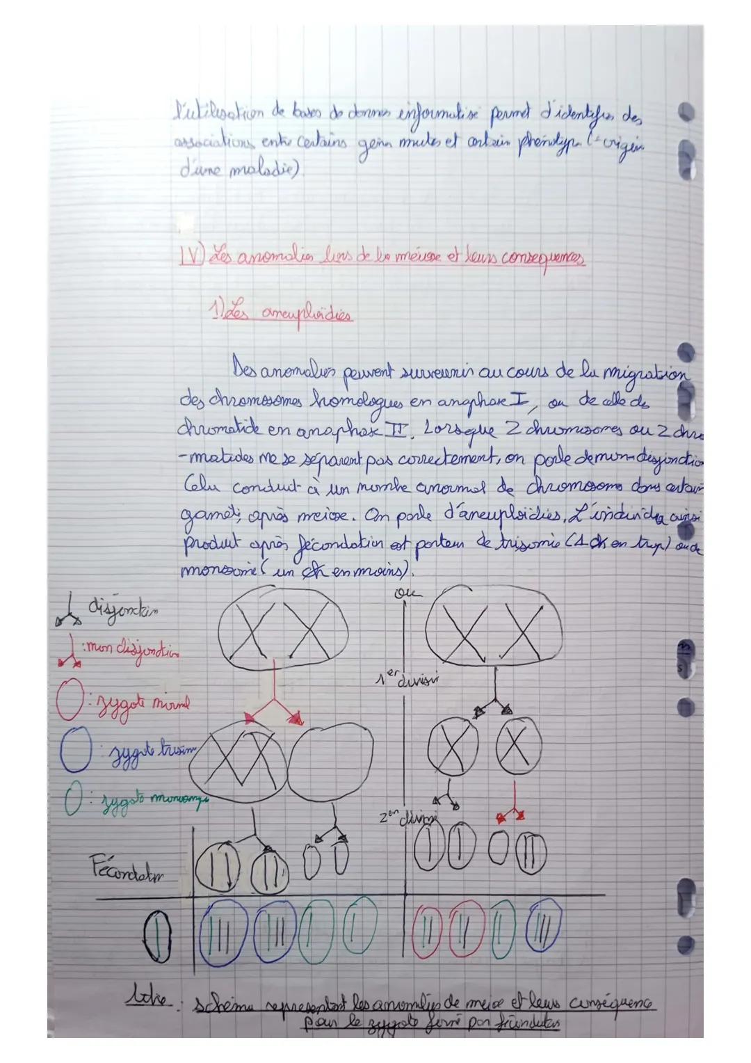 Thom 1 A
Genetique et évolution

L'origine du génotype des indindus

Chapitre 2: Le brassage des génormes à chaque generations:
La reproduct