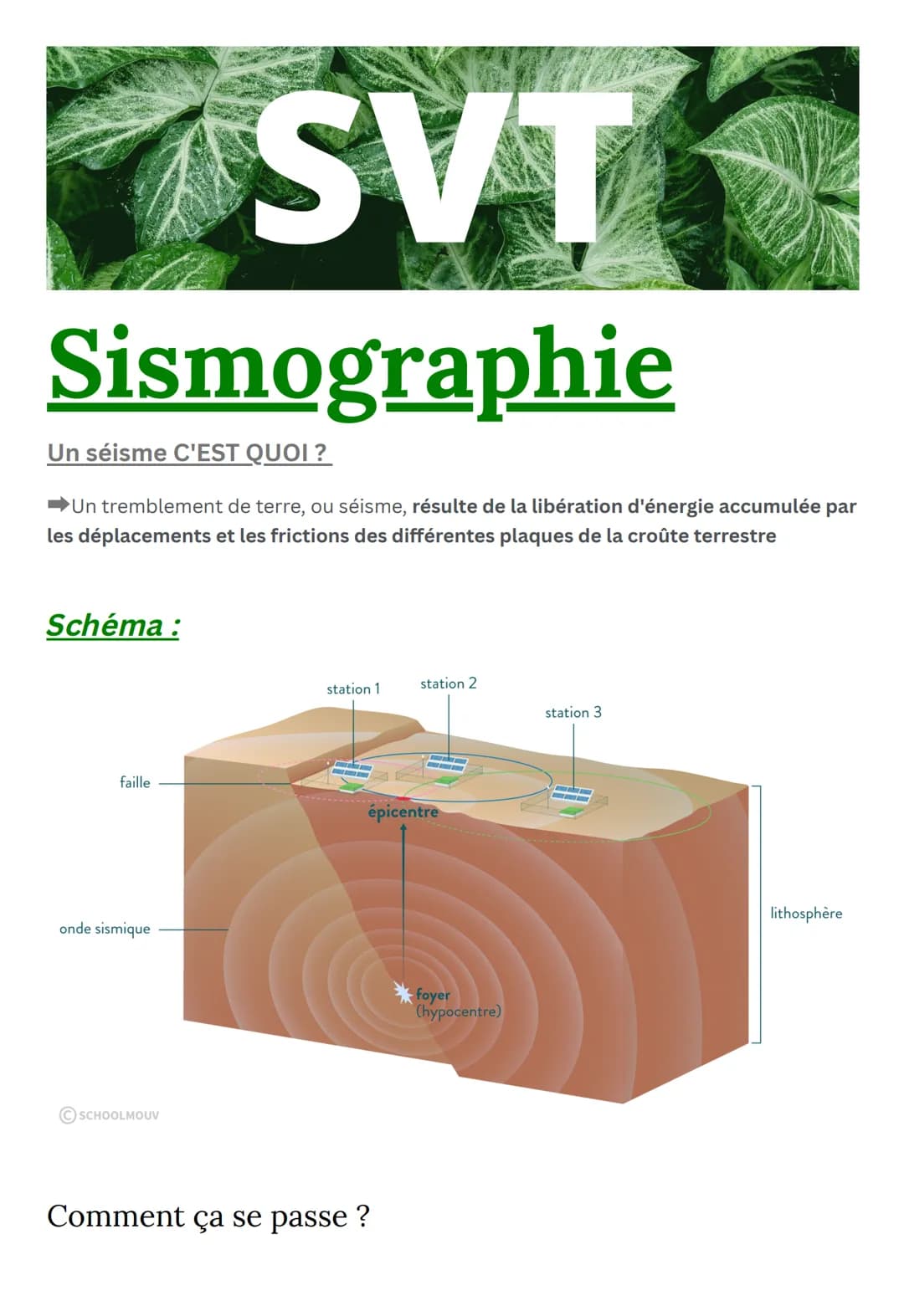 SVT
Sismographie
Un séisme C'EST QUOI ?
Un tremblement de terre, ou séisme, résulte de la libération d'énergie accumulée par
les déplacement