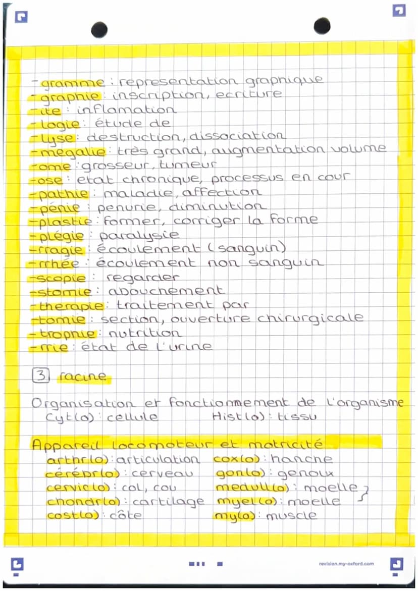 prefinces, suffixes, racines
El prefice
An-, A- absence, perte
Anti opposé à, contre
Brady lent
Dys- difficulté
En (do): à l'interieur, dans