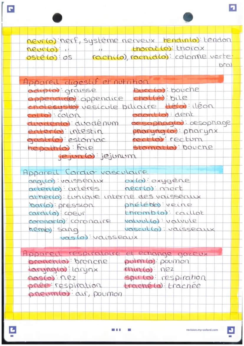 prefinces, suffixes, racines
El prefice
An-, A- absence, perte
Anti opposé à, contre
Brady lent
Dys- difficulté
En (do): à l'interieur, dans