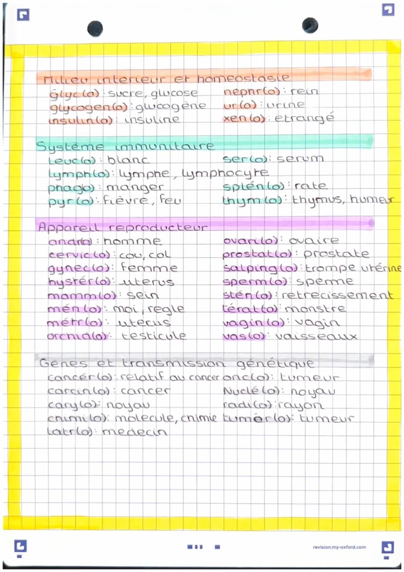 prefinces, suffixes, racines
El prefice
An-, A- absence, perte
Anti opposé à, contre
Brady lent
Dys- difficulté
En (do): à l'interieur, dans