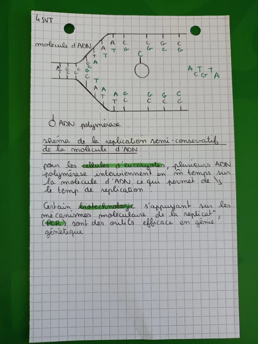 -D phase M - étape de division de la cellule
les chromosomes ne possèdent plus que 1
seule chromatide
-M (mitore): division cellulare (retou