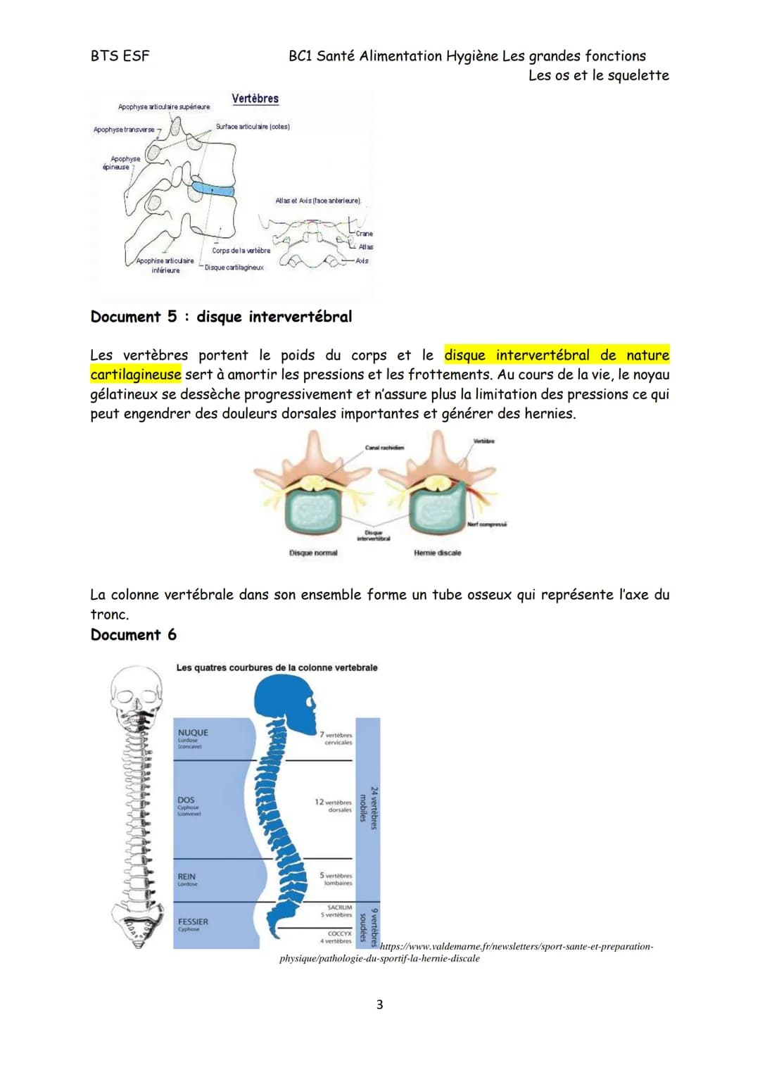 BTS ESF
Les os et le squelette
Structure, croissance et remaniement des os
Le squelette est constitué de 206 os reliés, pour la plupart, par