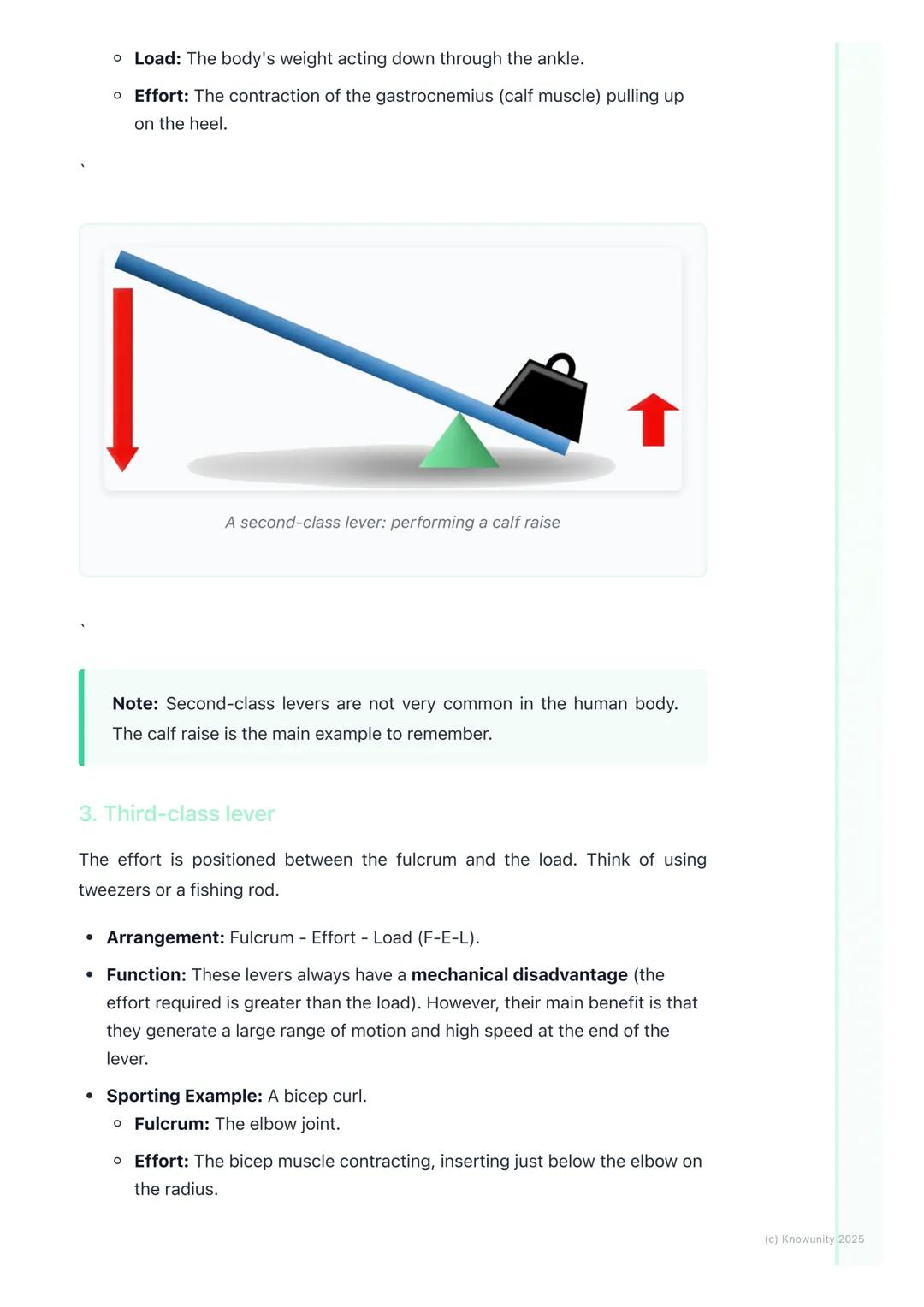 # Levers in the Human Body

What are levers in the body?

A lever is a rigid bar that moves on a fixed point called a fulcrum when a force
(