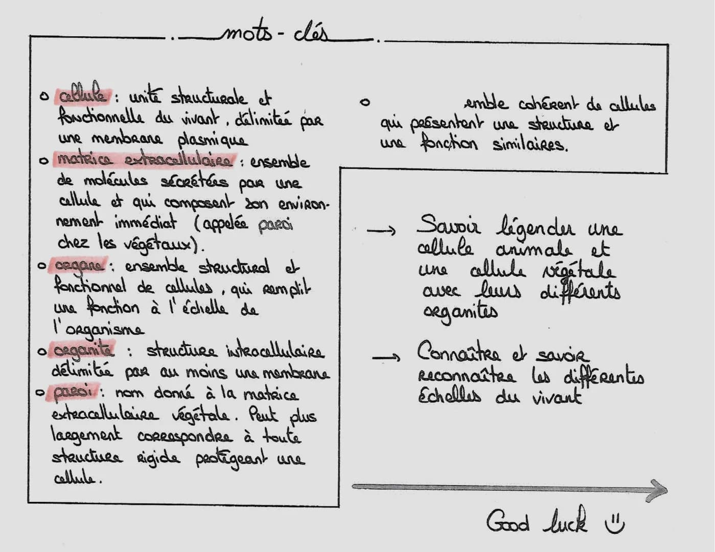 e
ensemble
différents niveaux
ol' organisation
↓
les cellules spécialisées
• Chez les organismes unicellulairas,
toutes les fonctions sont a