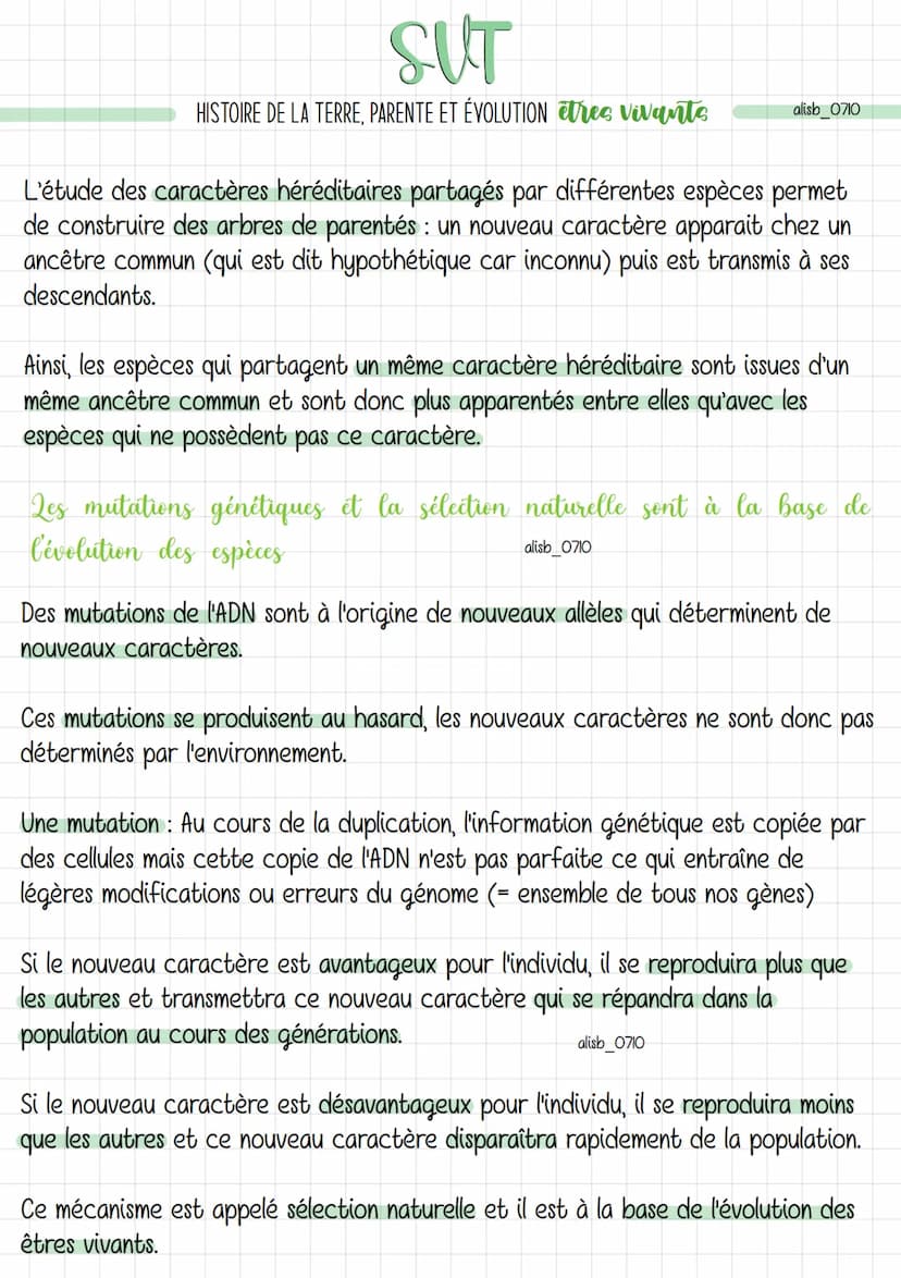 Pour étudier l'histoire de la Terre et donc l'histoire de la vie, il faut savoir que
depuis sa création jusqu'à aujourd'hui : le temps est d