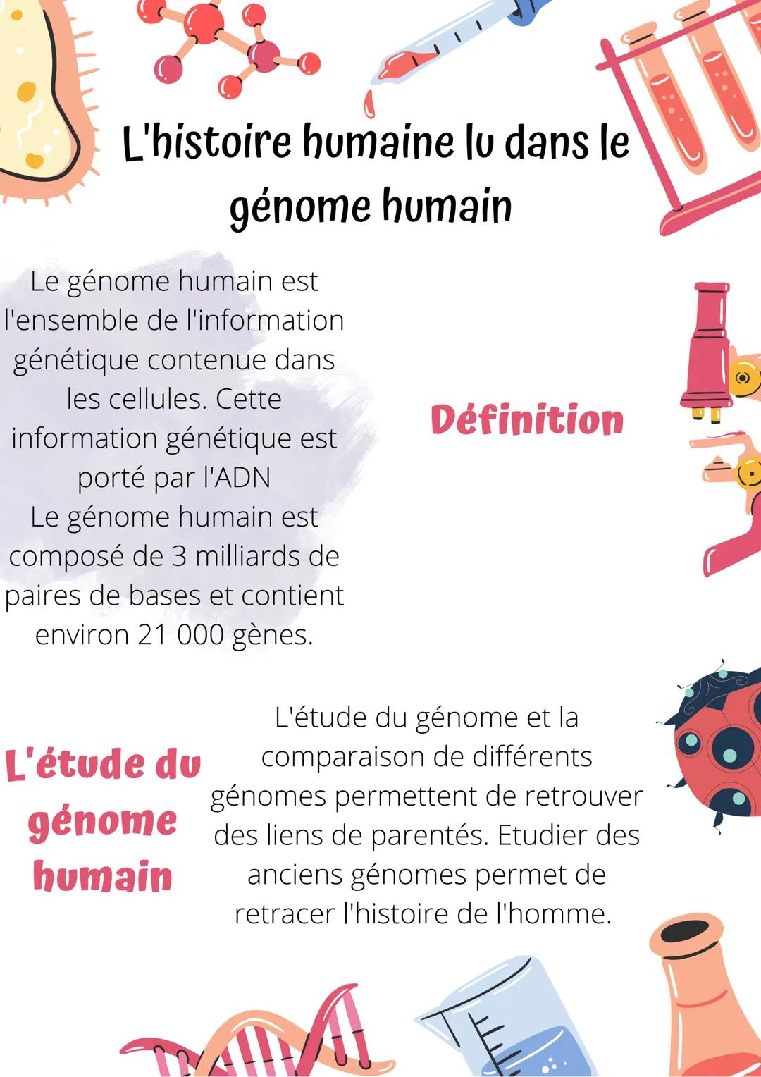 L'histoire humaine lu dans le
génome humain
Le génome humain est
l'ensemble de l'information
génétique contenue dans
les cellules. Cette
inf