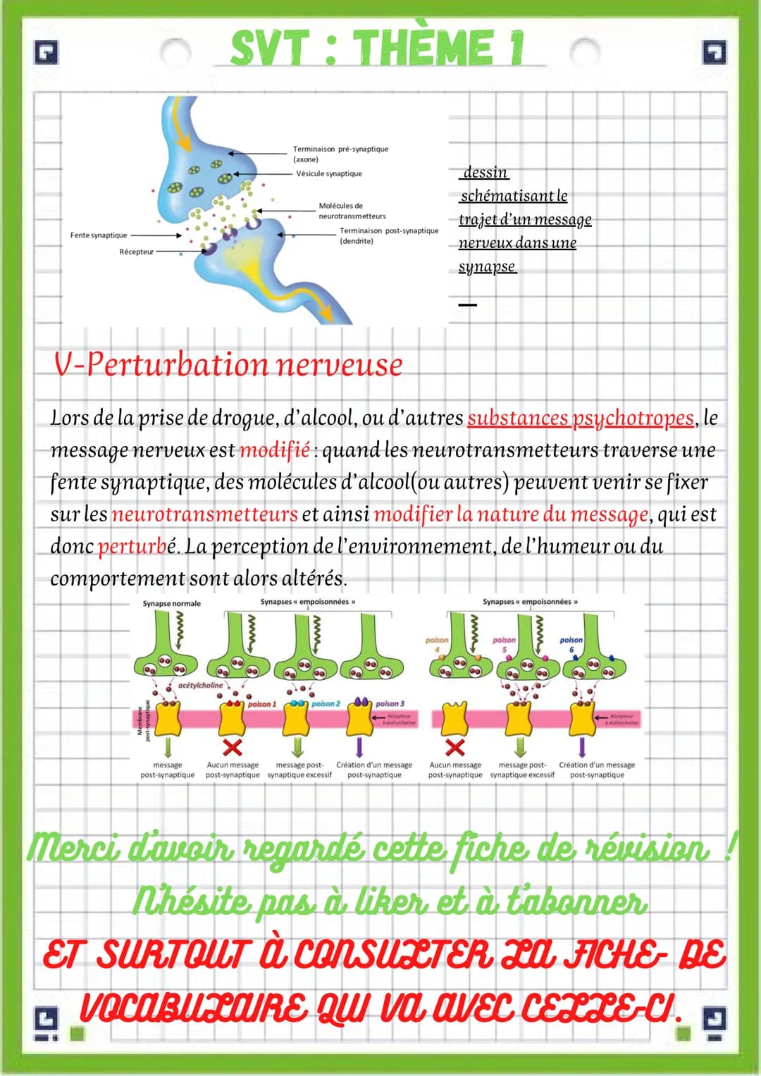 SVT: THÈME 3
fiche de révision chapitre
3: le système nerveux
attention! une fiche de vocabulaire est disponible dans le même
dossier SVT qu