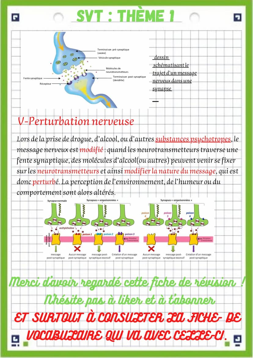 SVT: THÈME 3
fiche de révision chapitre
3: le système nerveux
attention! une fiche de vocabulaire est disponible dans le même
dossier SVT qu