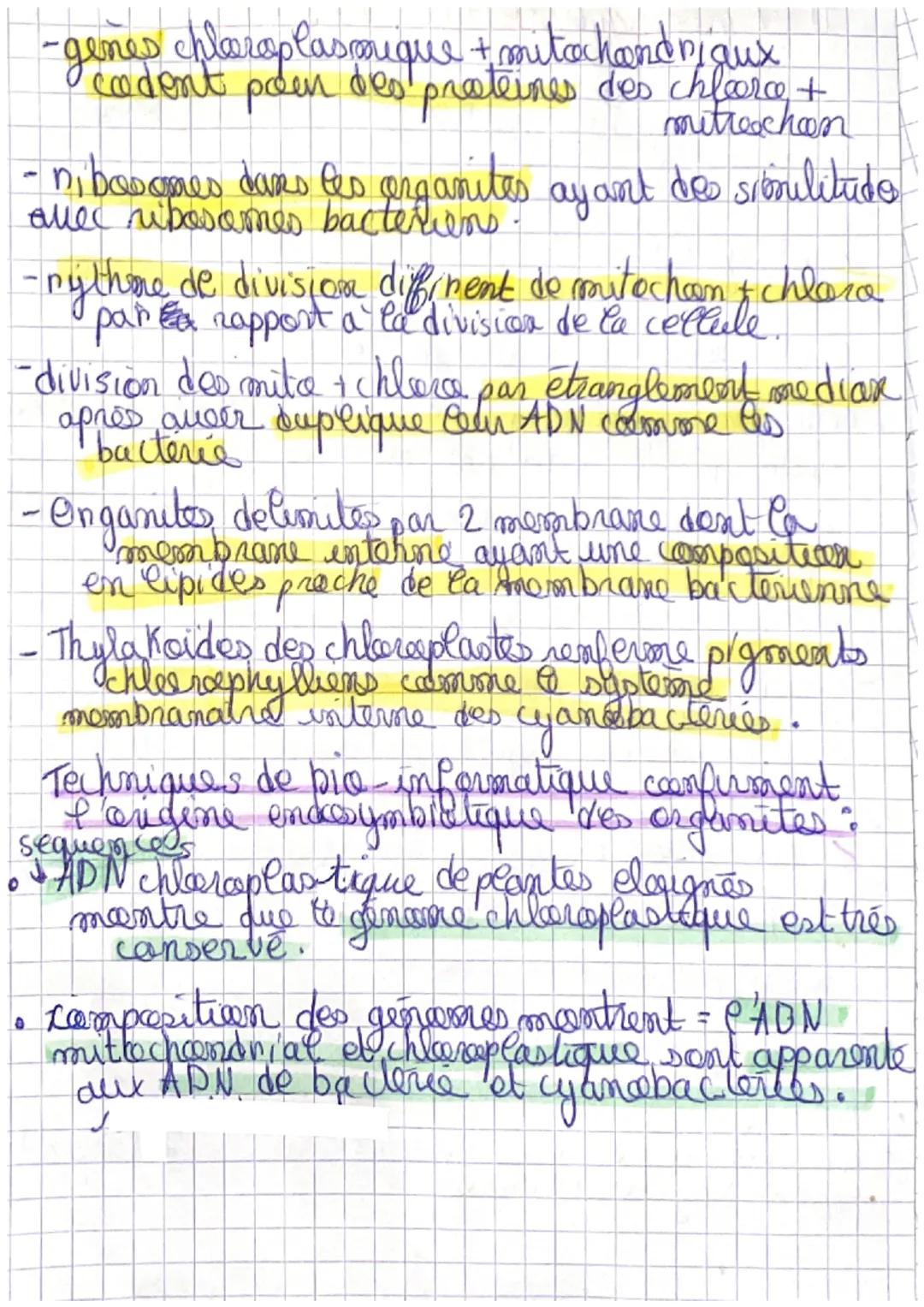 PNCYL
II/ Endosymbiose et evolution des
plucaryotes
?
vivants = cette association est durable
et a benefice réciproque.
Endosymbiose
Lose : 