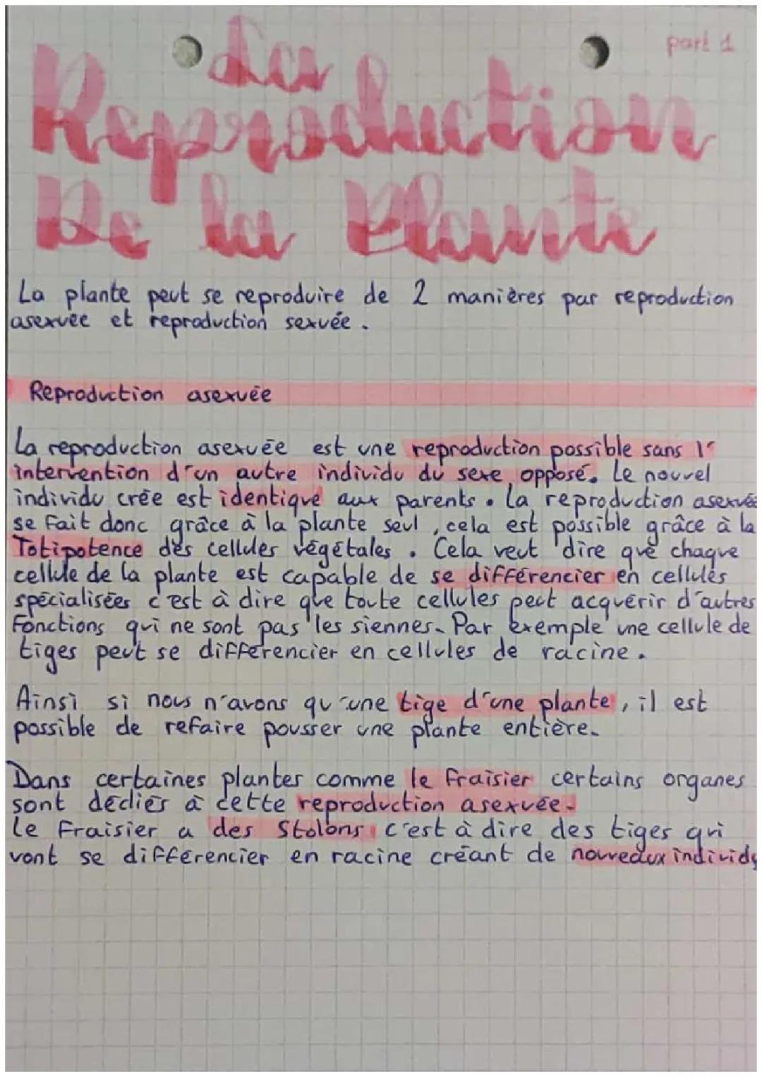 Reproduction de la plante entre vie fixée et mobilité
