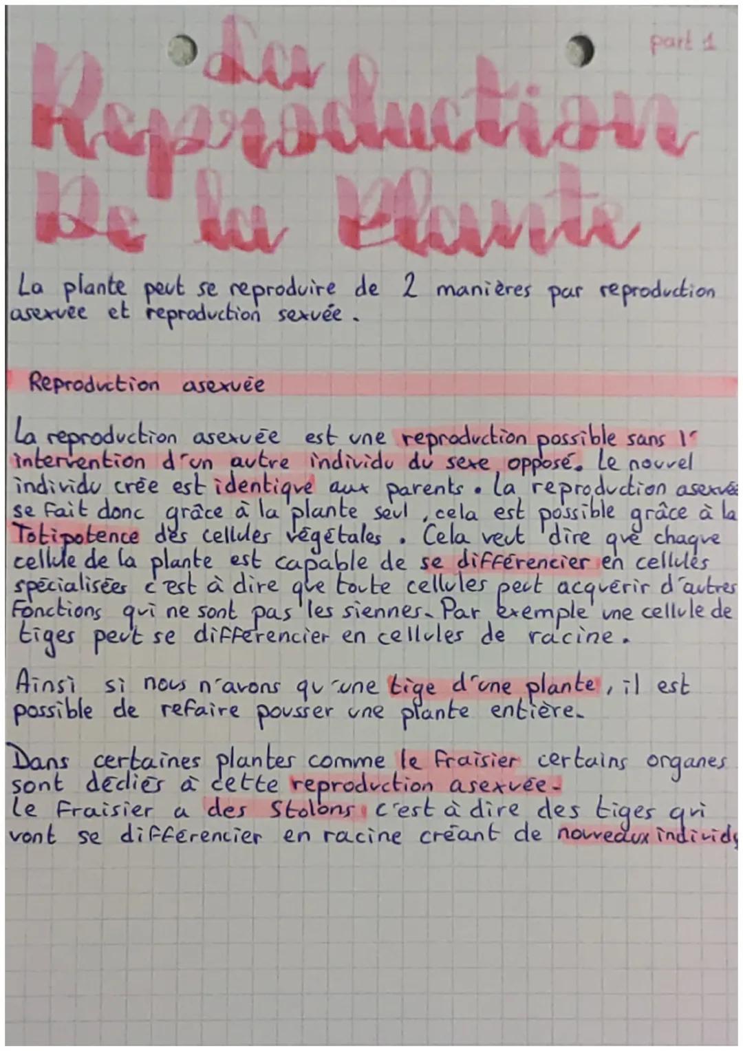 part d
Reproduction
la Pluiti
La plante peut se reproduire de 2 manières par reproduction
asexvée et reproduction sexvée.
Reproduction asexv