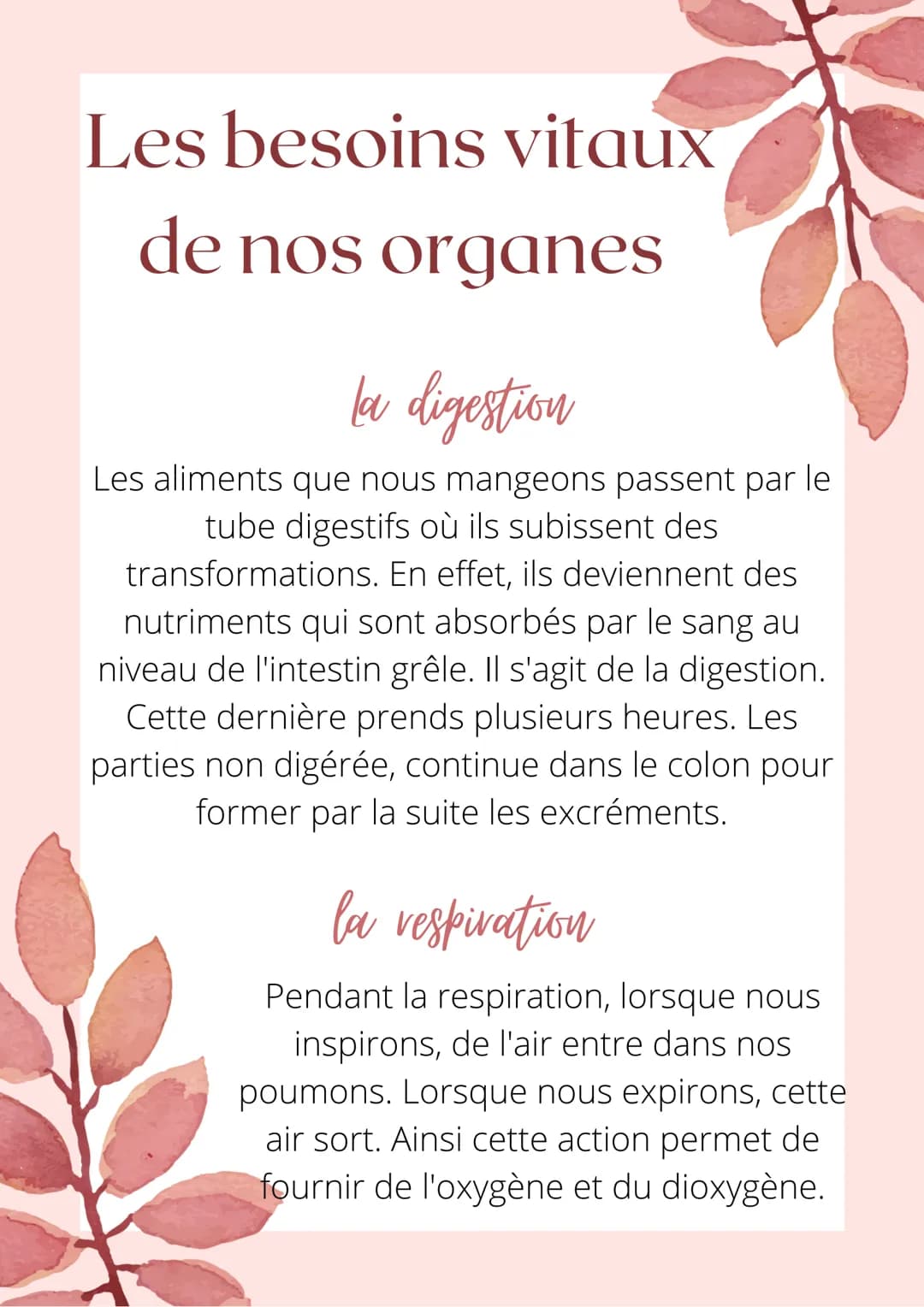 Les besoins vitaux
de nos organes
la digestion
Les aliments que nous mangeons passent par le
tube digestifs où ils subissent des.
transforma