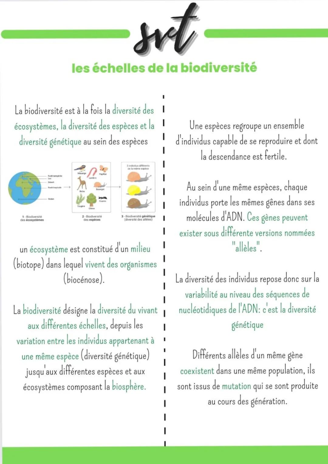 ¦
La biodiversité est à la fois la diversité des I
écosystèmes, la diversité des espèces et la
diversité génétique au sein des espèces
1-Bio