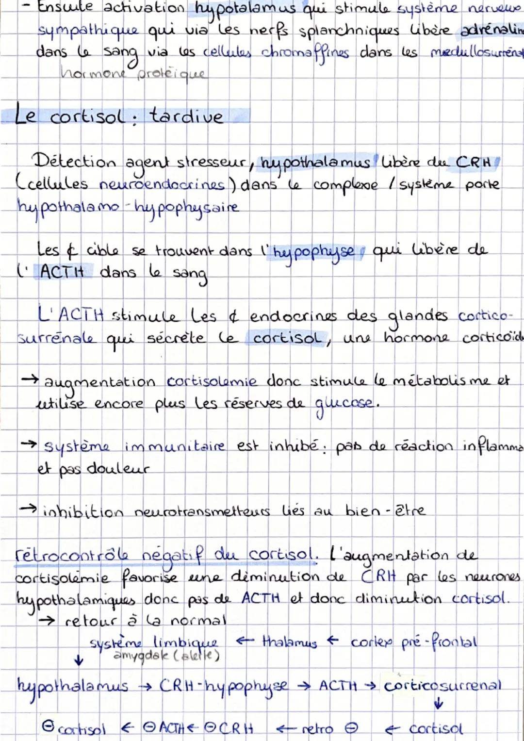 L'organisme répond de manière stéréotypée, inconsciente et
ponctuelle
- Dilatation pupilles,
- poils hérissés
- augmentation rythme cardiaqu