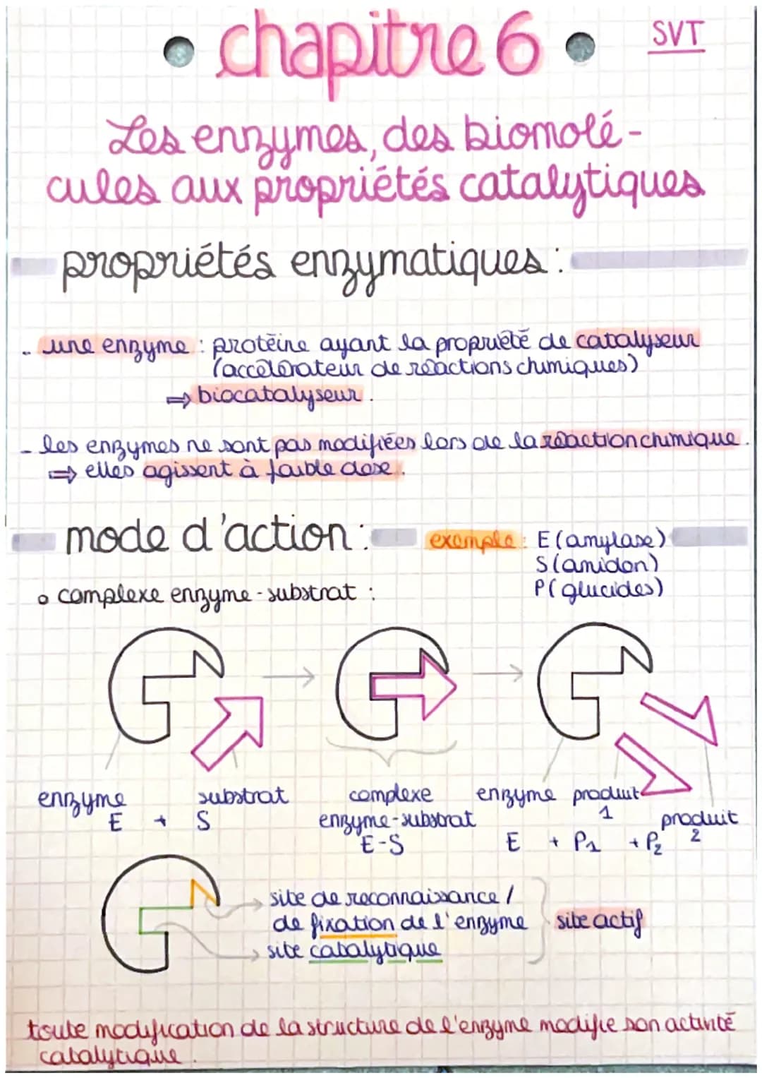 chapitre 6.
Les enzymes, des biomolé-
cules aux propriétés catalytiques
propriétés enzymatiques
une enzyme proteine ayant la propriété de ca