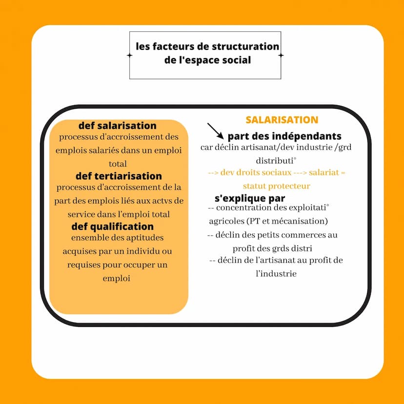 comment est structurée
LA SOCIETE FRANCAISE
def structure sociale
répartition de la pop en
catégories/groupes sociaux
différenciés au sein d