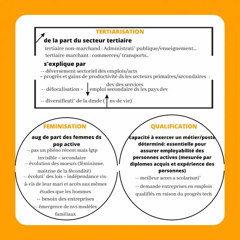 comment est structurée
LA SOCIETE FRANCAISE
def structure sociale
répartition de la pop en
catégories/groupes sociaux
différenciés au sein d