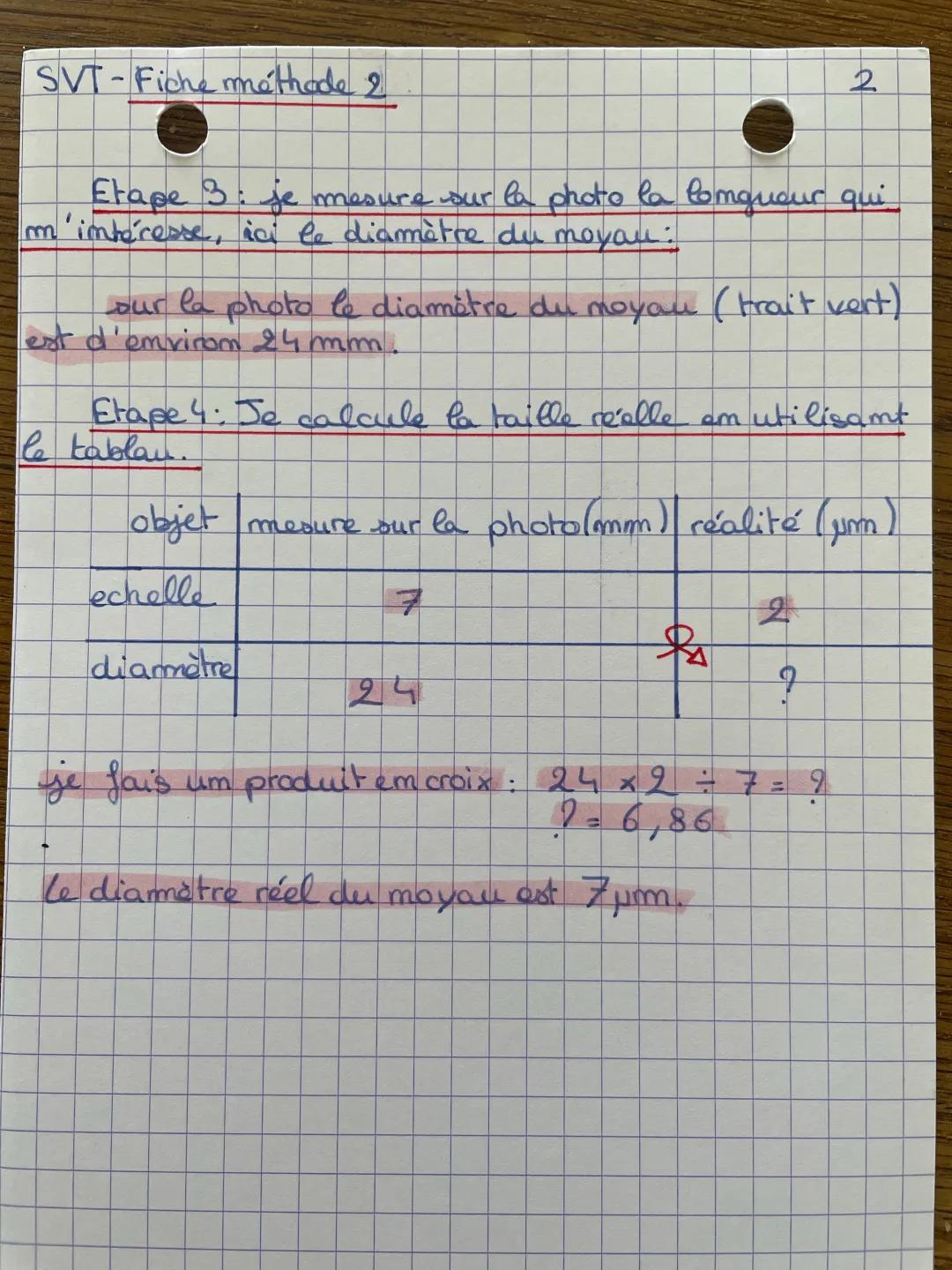 Comment Calculer la Taille d'une Cellule et le Grossissement d'un Microscope