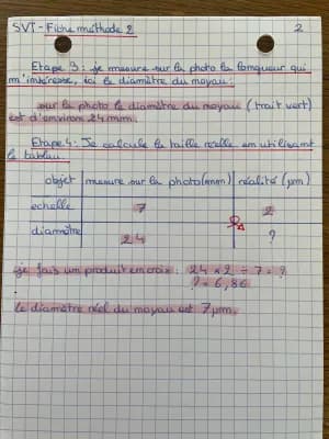 Know calculer la taille d’un élément chimique à partir d’une photo prise au microscope  thumbnail