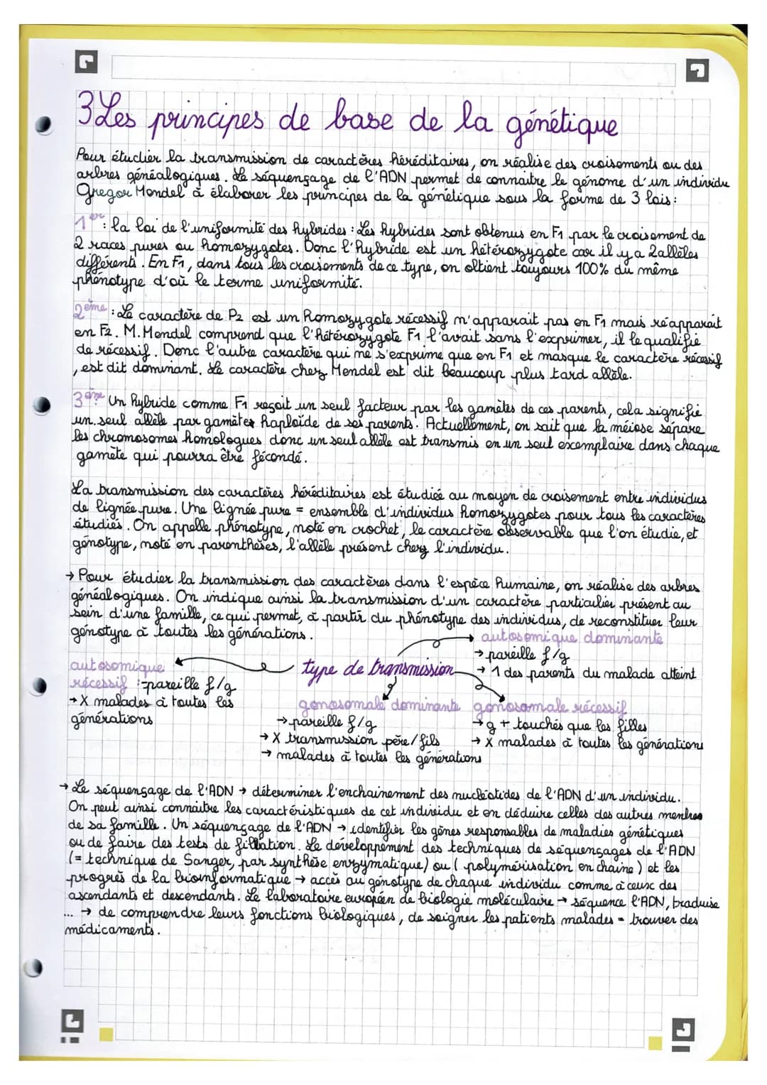 J
Chapitre 1: L'origine du génotype des individus
• Rappel.
AGC →
AGC
TTG
mutations-substitution TCG
-délection & D
-addition
1 Stabilité gé