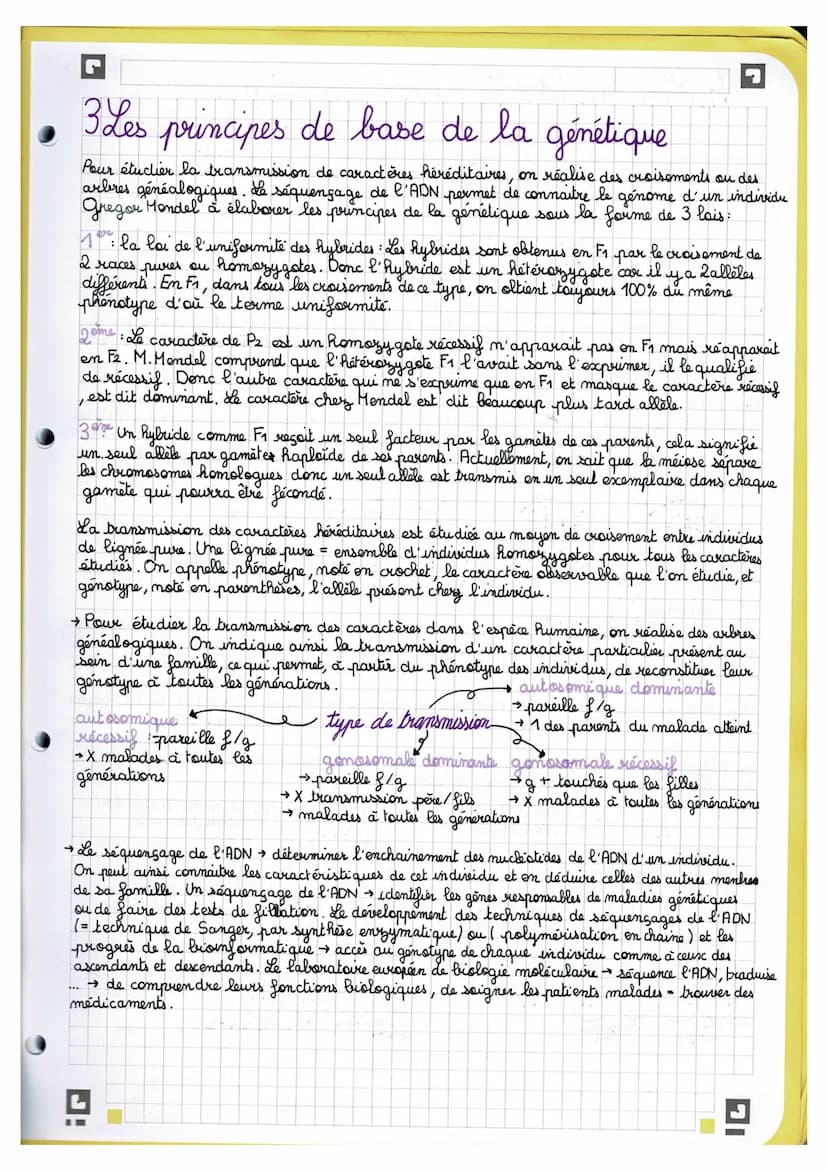 J
Chapitre 1: L'origine du génotype des individus
• Rappel.
AGC →
AGC
TTG
mutations-substitution TCG
-délection & D
-addition
1 Stabilité gé