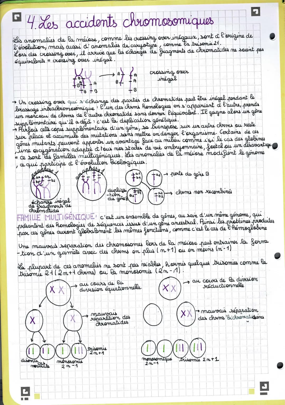 J
Chapitre 1: L'origine du génotype des individus
• Rappel.
AGC →
AGC
TTG
mutations-substitution TCG
-délection & D
-addition
1 Stabilité gé