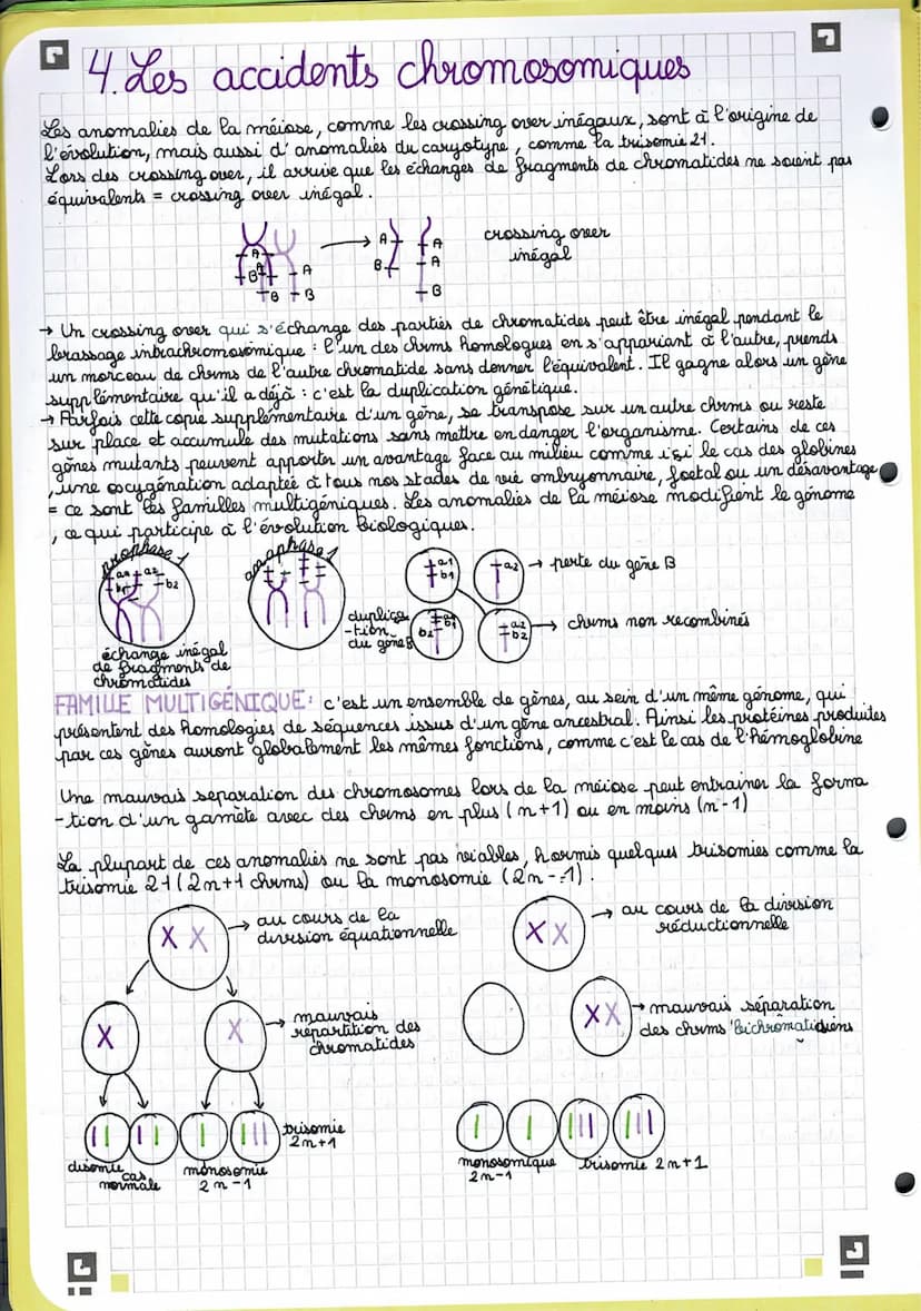 J
Chapitre 1: L'origine du génotype des individus
• Rappel.
AGC →
AGC
TTG
mutations-substitution TCG
-délection & D
-addition
1 Stabilité gé