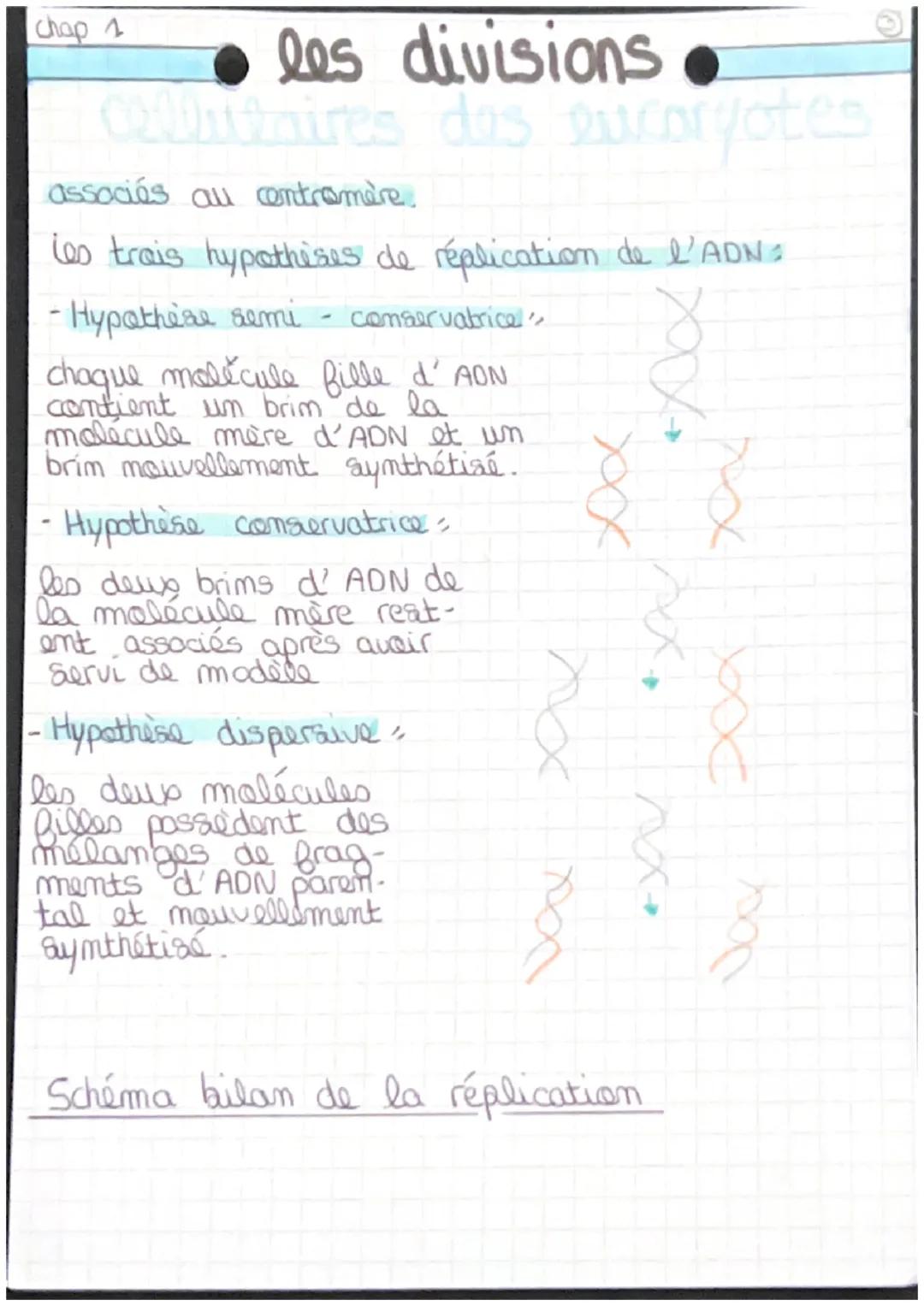 Chap 1
• les divisions •
cellulaires des sucaryotes
エコl'etat des chromosomes au cours du cycle cellulaire.

61
↳ division &
Mitore
INTERDITA