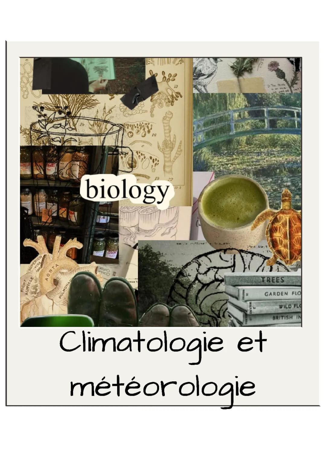 Climatologie et Météorologie pour les Jeunes: Évaluation SVT, QCM et Exercices Corrigés PDF