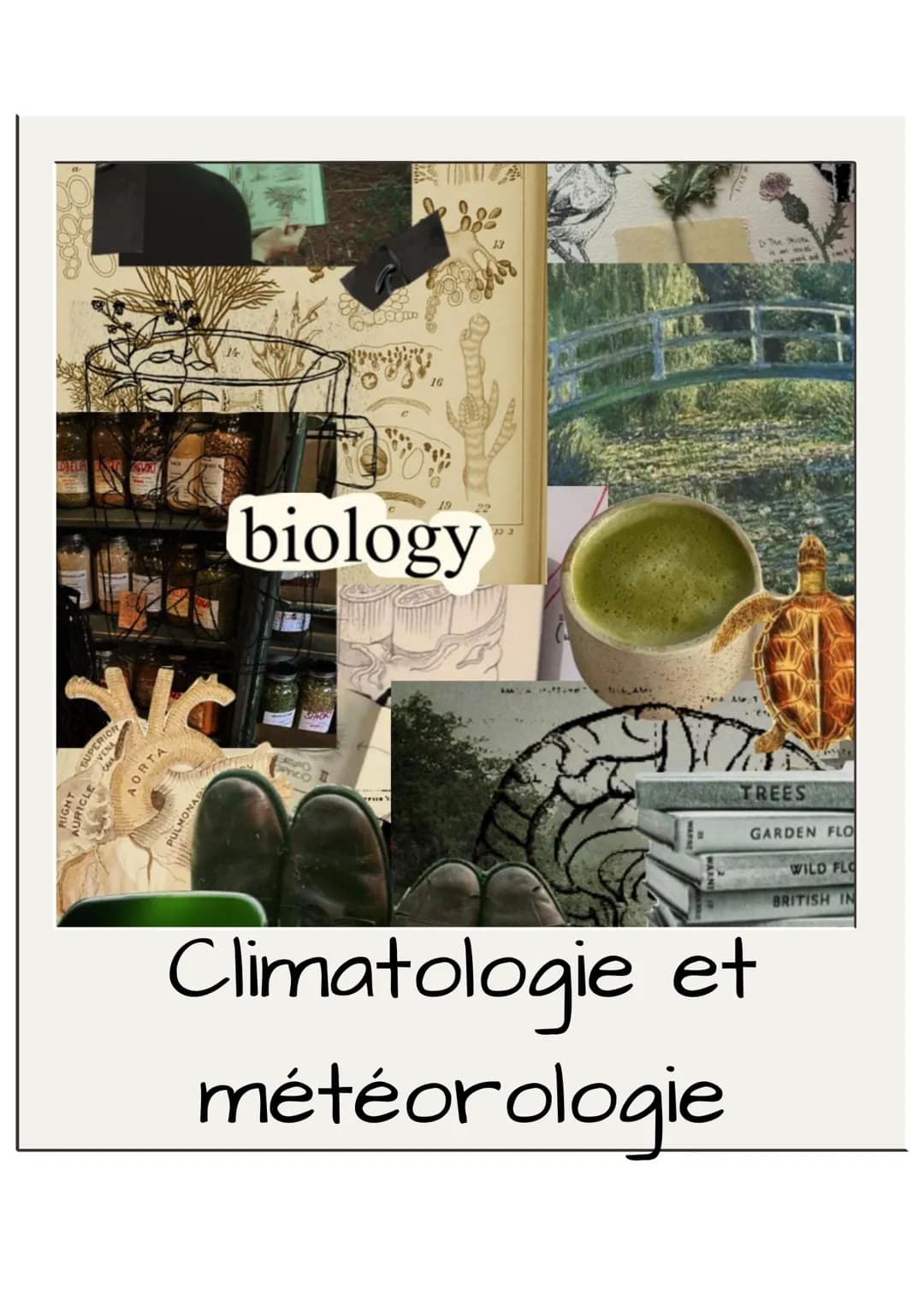 LDBELI
VENA
UPER
AORTA
90000
biology
ERVIO
22
133
1446
D. The thistle
77
TREES
GARDEN FLO
WILD FLO
BRITISH IN
Climatologie et
météorologie ●