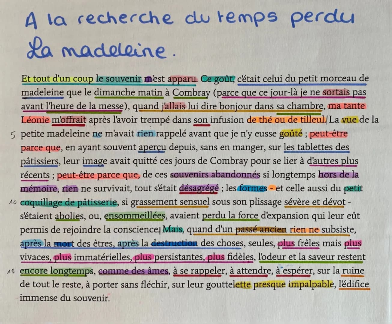 A la recherche du temps perdu
La madeleine.
Et tout d'un coup le souvenir m'est apparu. Ce goût, c'était celui du petit morceau de
madeleine