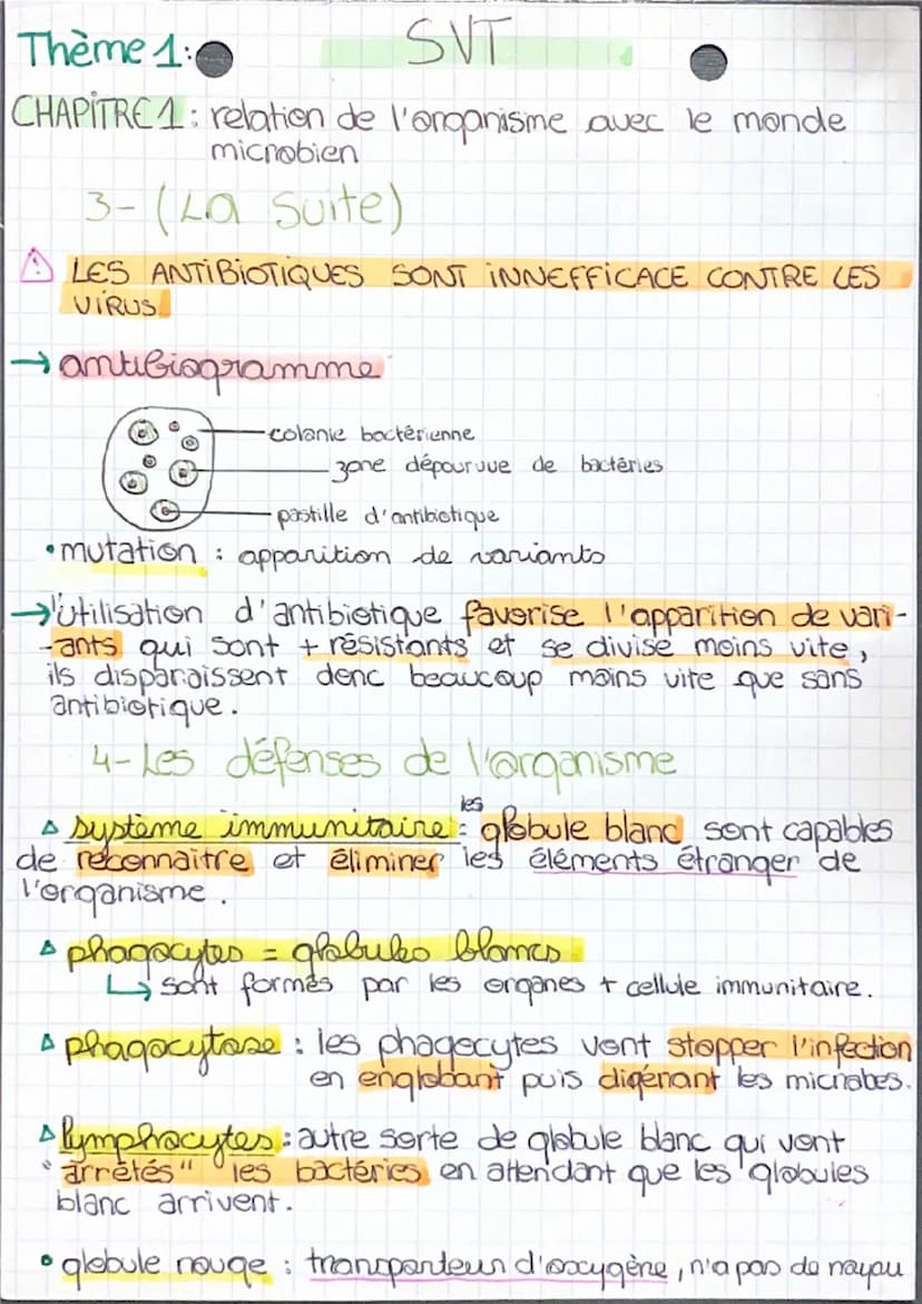 CHAPITRE 1: relation de l'organisme avec le monde
microbien.
1- La diversité du monde microbien
• bactérie : être vivant, unicellulaire
•vir