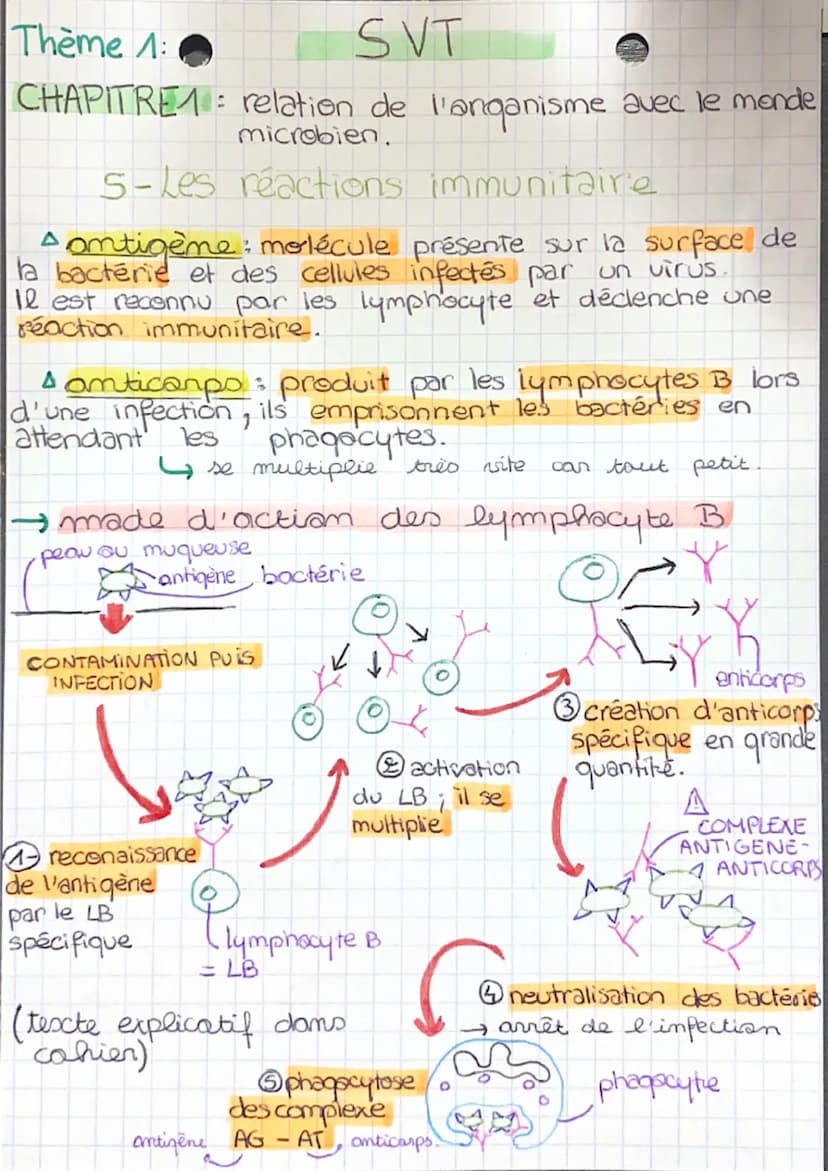 CHAPITRE 1: relation de l'organisme avec le monde
microbien.
1- La diversité du monde microbien
• bactérie : être vivant, unicellulaire
•vir