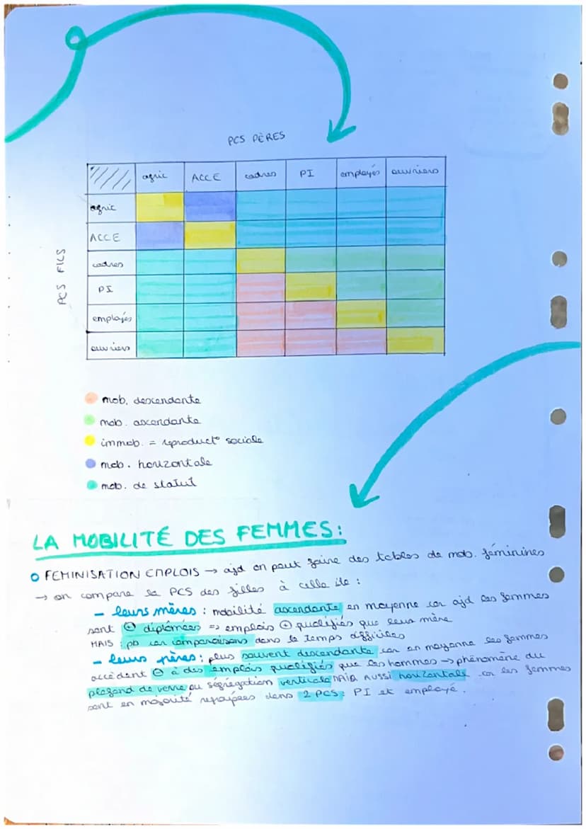 Chap 4 3TYPES DE TABLES:
O MOBILITÉ BRUTE DESTINÉE
- enqulite FQP
42 questions:
situal pro
situal pro die
pore quand nous
aviez 20 ano?
- ta