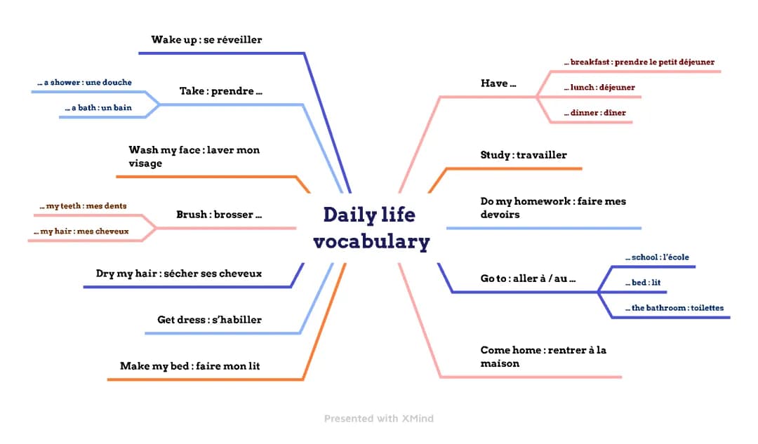 Daily Routine ( vocabulary )