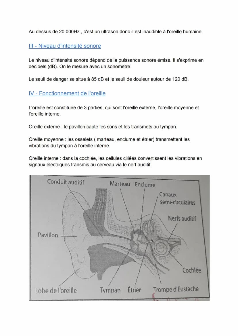 I- Émission et propagation d'un son
Chapitre 6 : Les sons et l'audition
Les sons sont produits par une vibration de la matière.
Les ondes so