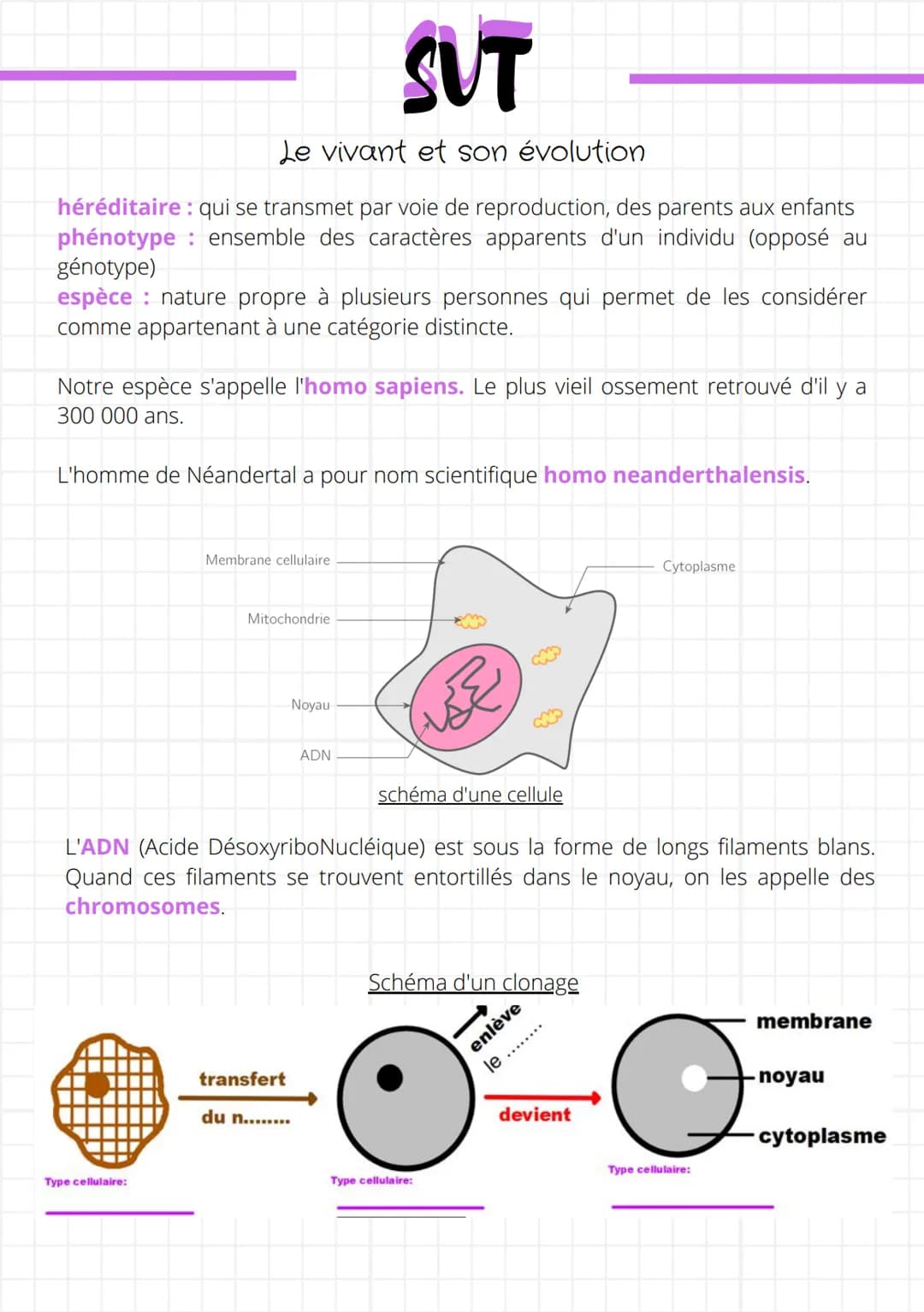 SUT
Le vivant et son évolution
héréditaire : qui se transmet par voie de reproduction, des parents aux enfants
phénotype : ensemble des cara
