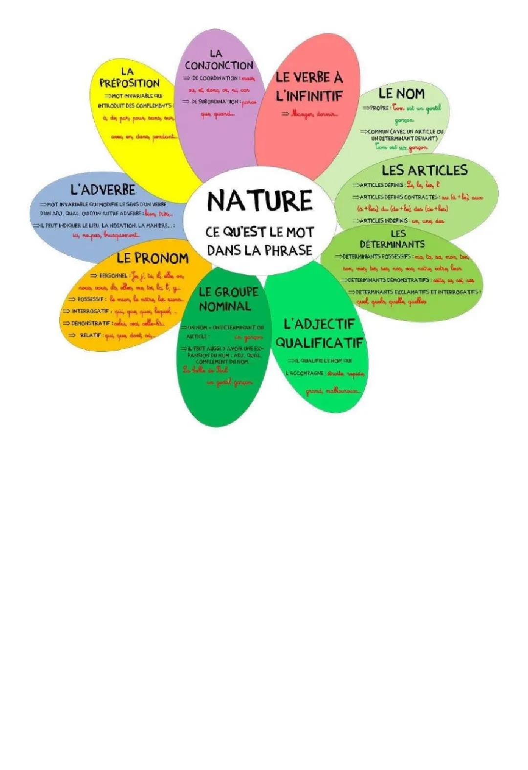 Découvre la Nature des Mots et les Articles : Tableaux et Exercices Amusants pour CM2 et 6ème