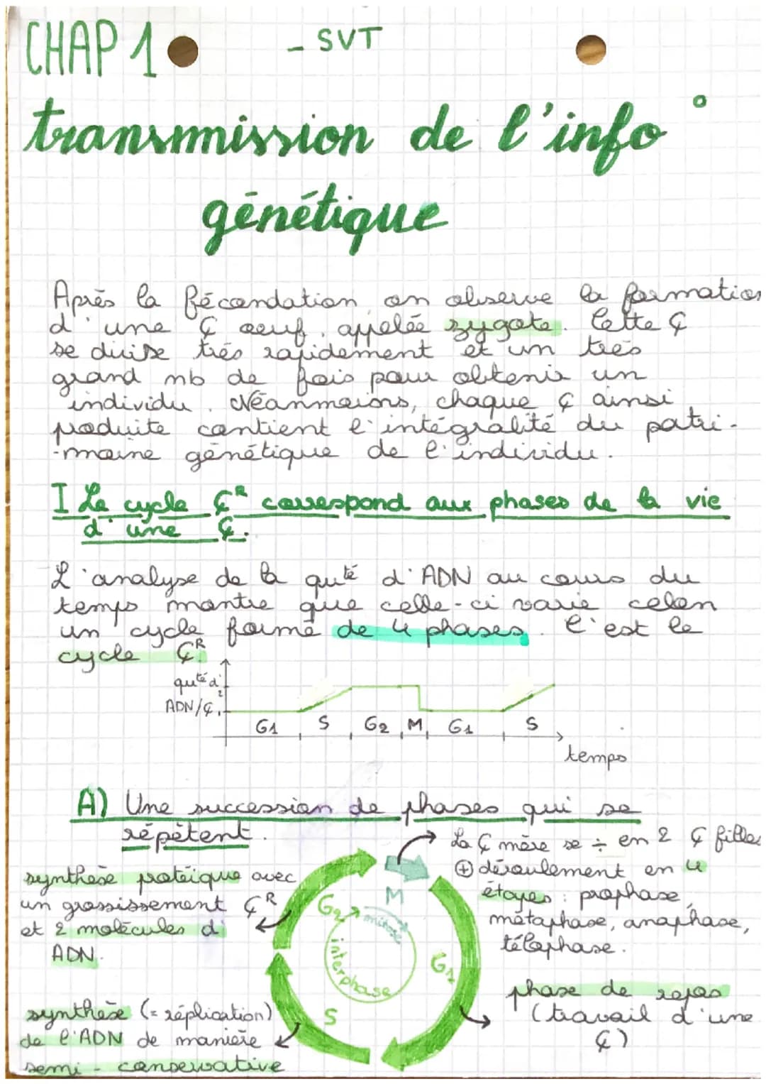 CHAP 1
transmission de l'info
génétique
Après la fécondation, on observe le formation
une I seuf, appelée zygote. Cette &
se duise très rapi