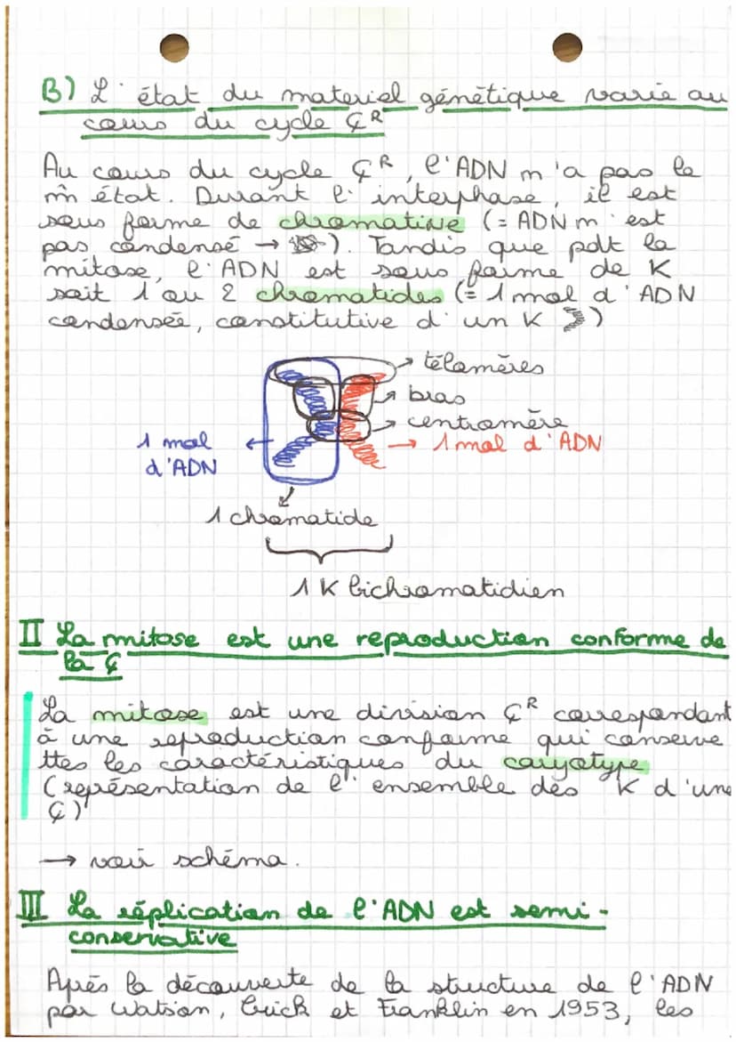 CHAP 1
transmission de l'info
génétique
Après la fécondation, on observe le formation
une I seuf, appelée zygote. Cette &
se duise très rapi