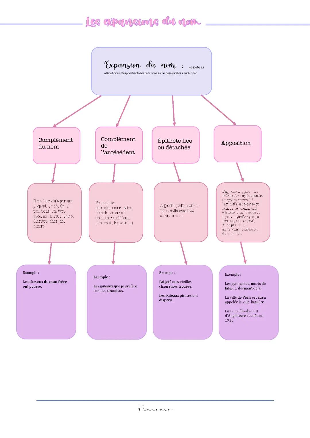 Comprendre le Complément du Nom en Français et les Propositions Subordonnées Relatives