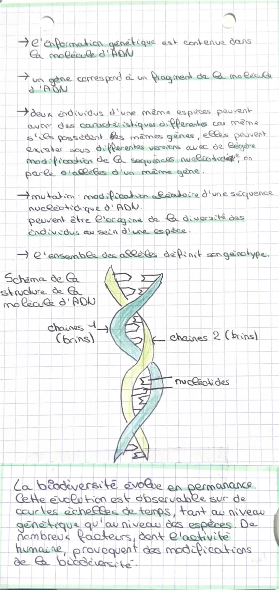 definitions

svt chap 1

→écosystème: une partie de l'environnement
caracterisé par un ensemble di etres vivants.
soumis à des caractéristiq