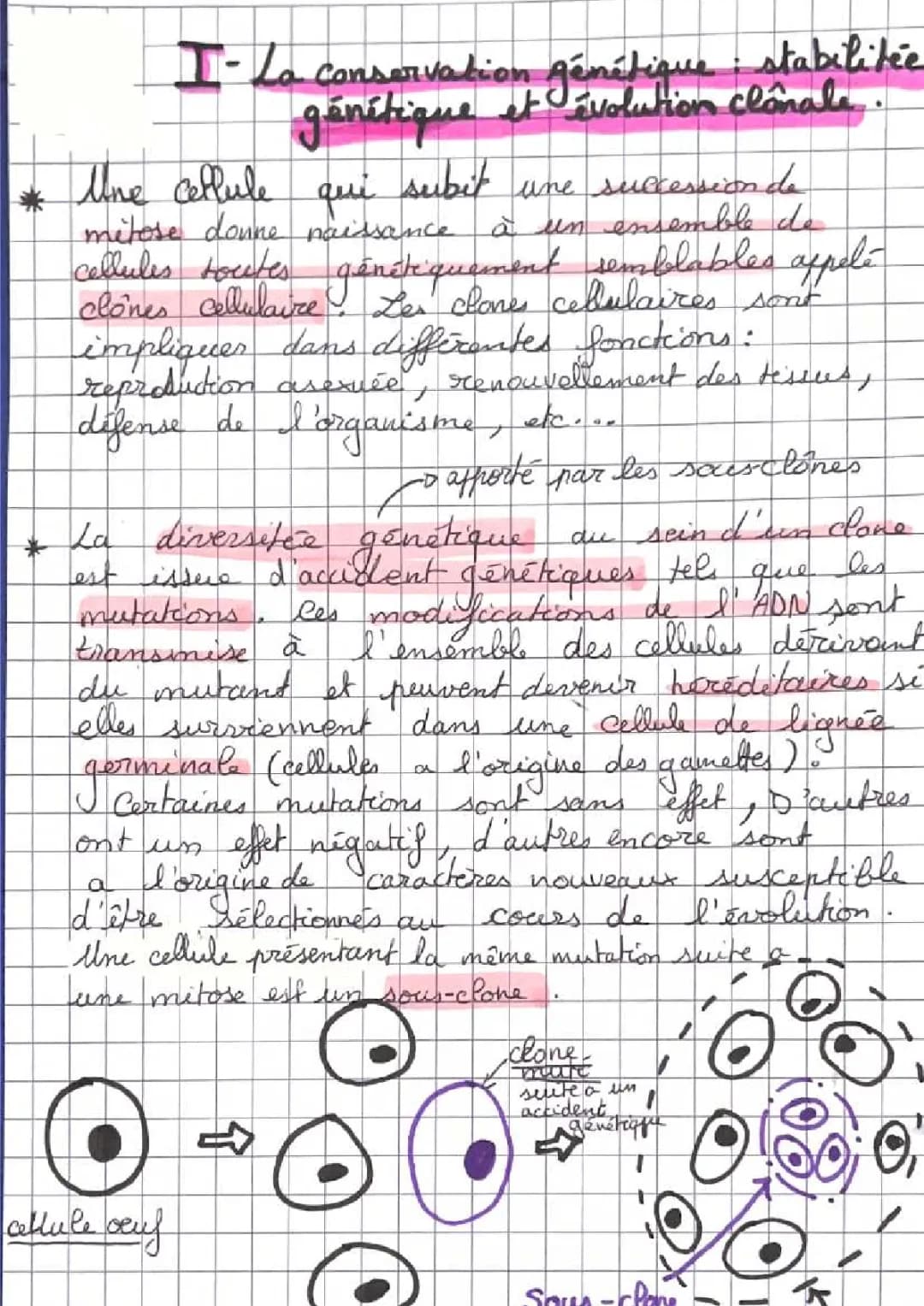 spe SVT terminal-l’origine du génotype des individus