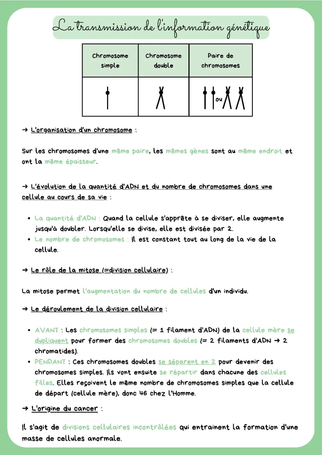 Schéma Chromosome 3ème: De Quoi Est Constitué un Chromosome et Évolution ADN