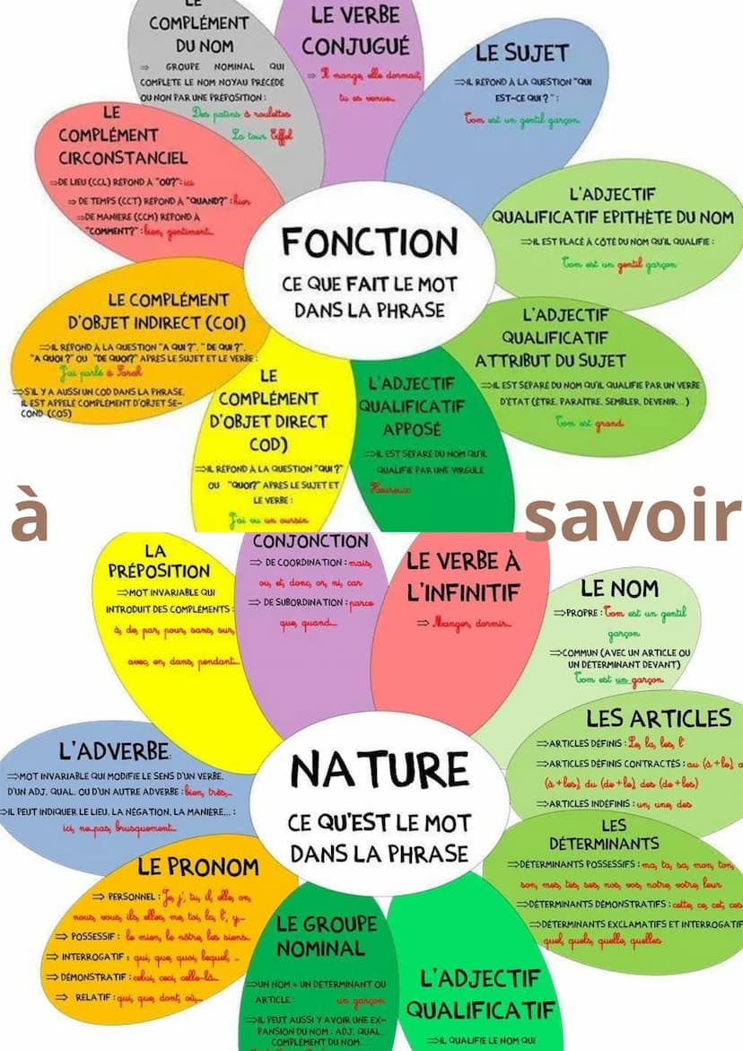 LE
FRANCAIS
pour le brevet ahah les chapitres étudiés
au cours de cette année
l'autoportrait: principalement apparu à
la Renaissance, on l'a