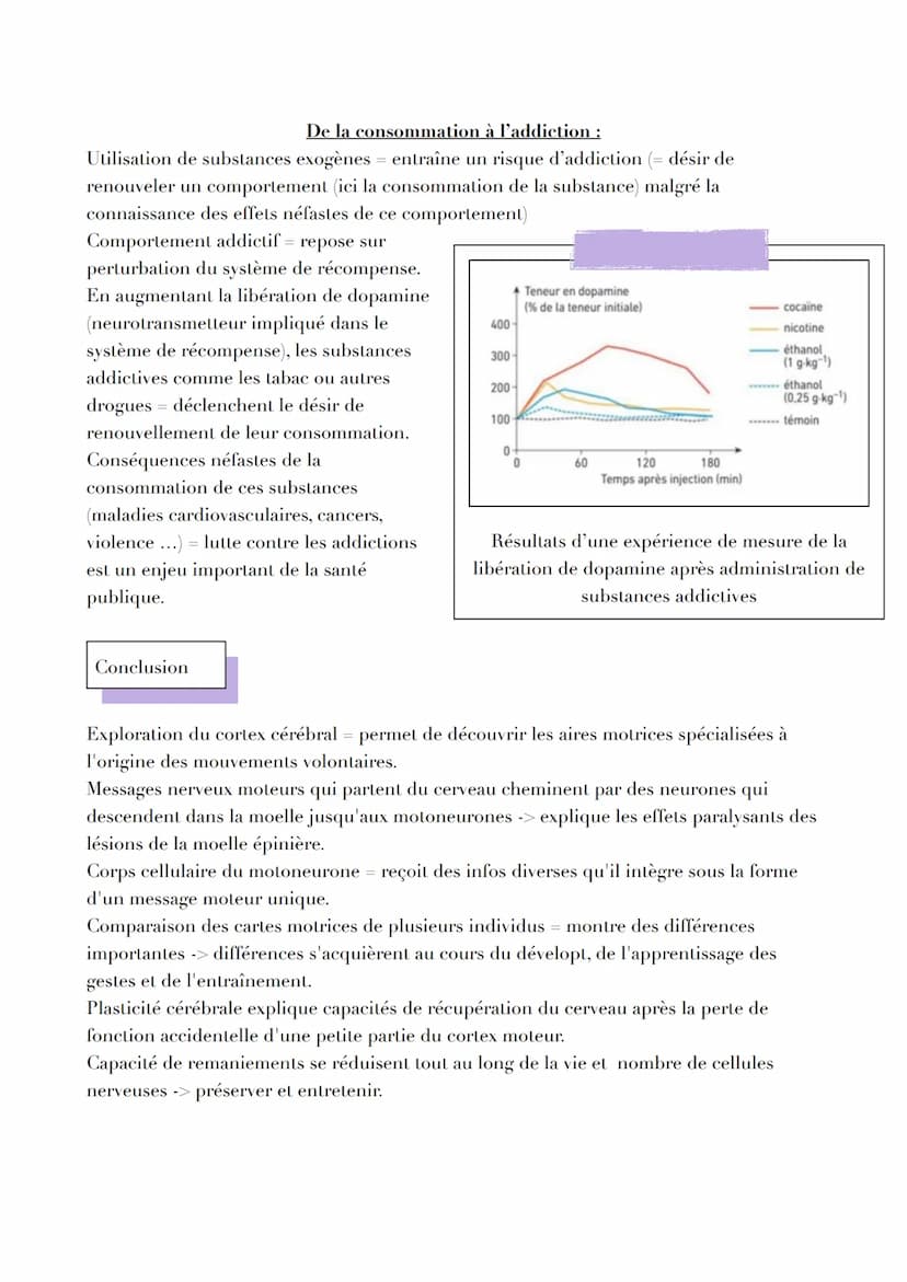 LE CERVEAU
Introduction
Réflexe myotatique = mécanisme expliquant les contractions non volontaires des muscles
grâce aux messages circulant 