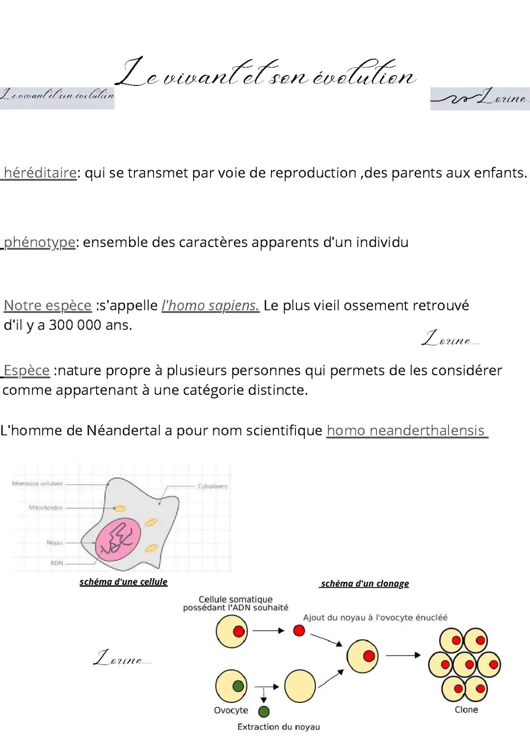 Le vivant et son évolution
